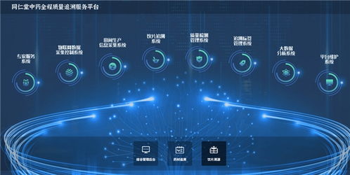 同仁堂科技数智化投入兑现，数字内容制作服务夯实增长基底